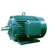 Y Series Electric Motor Three Phase